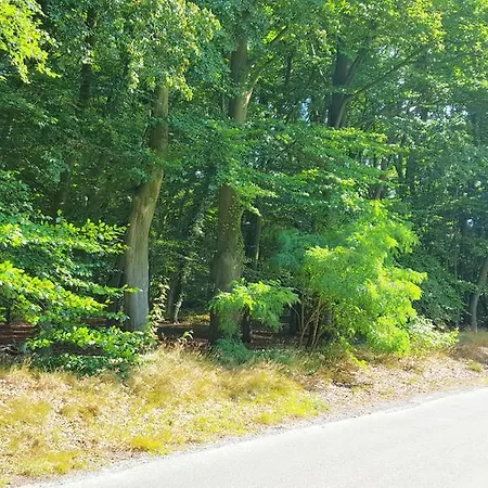 Apartamento Strudthoff